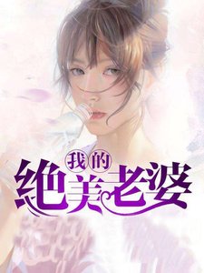最佳废婿/我的绝美老婆